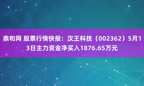 鼎和网 股票行情快报：汉王科技（002362）5月13日主力资金净买入1876.65万元