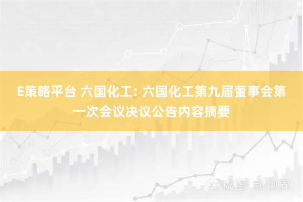E策略平台 六国化工: 六国化工第九届董事会第一次会议决议公告内容摘要