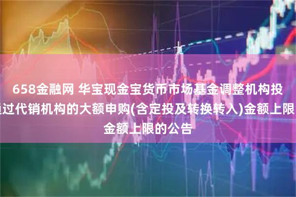 658金融网 华宝现金宝货币市场基金调整机构投资者通过代销机构的大额申购(含定投及转换转入)金额上限的公告