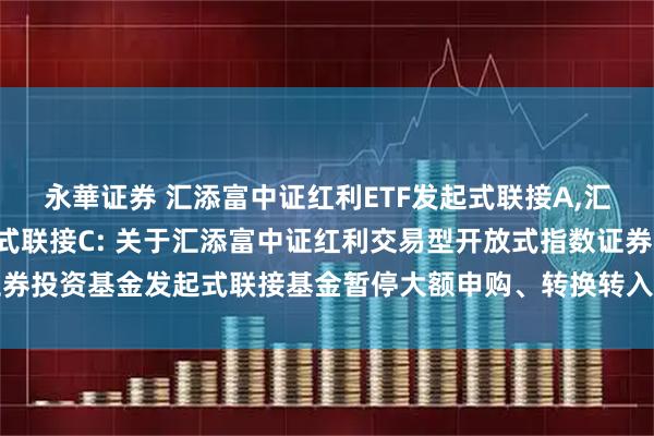 永華证券 汇添富中证红利ETF发起式联接A,汇添富中证红利ETF发起式联接C: 关于汇添富中证红利交易型开放式指数证券投资基金发起式联接基金暂停大额申购、转换转入、定期定额投资业务的公告
