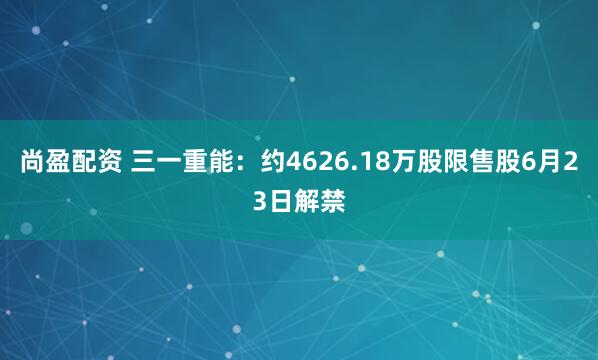 尚盈配资 三一重能：约4626.18万股限售股6月23日解禁